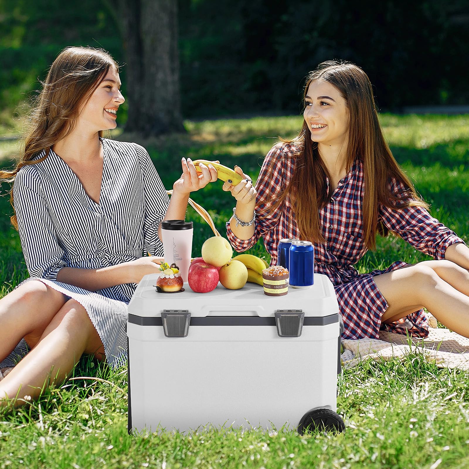 VEVOR versatile cooler for fishing, camping, and travel
