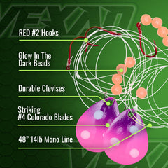 Colorful blade with red hooks on walleye spinner rig image 3