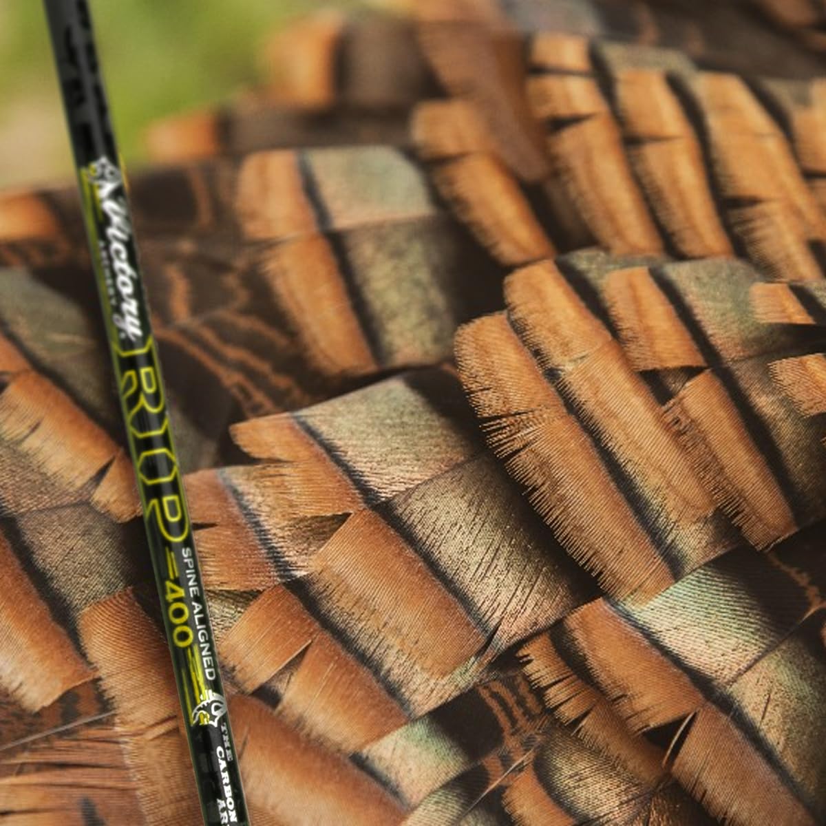 Victory Archery RIP 0.204 spine alignment display demonstrates accuracy consistency