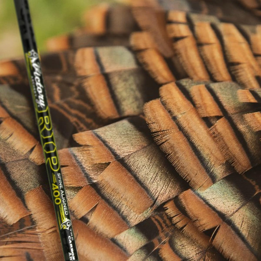 Victory Archery RIP 0.204 spine alignment display demonstrates accuracy consistency