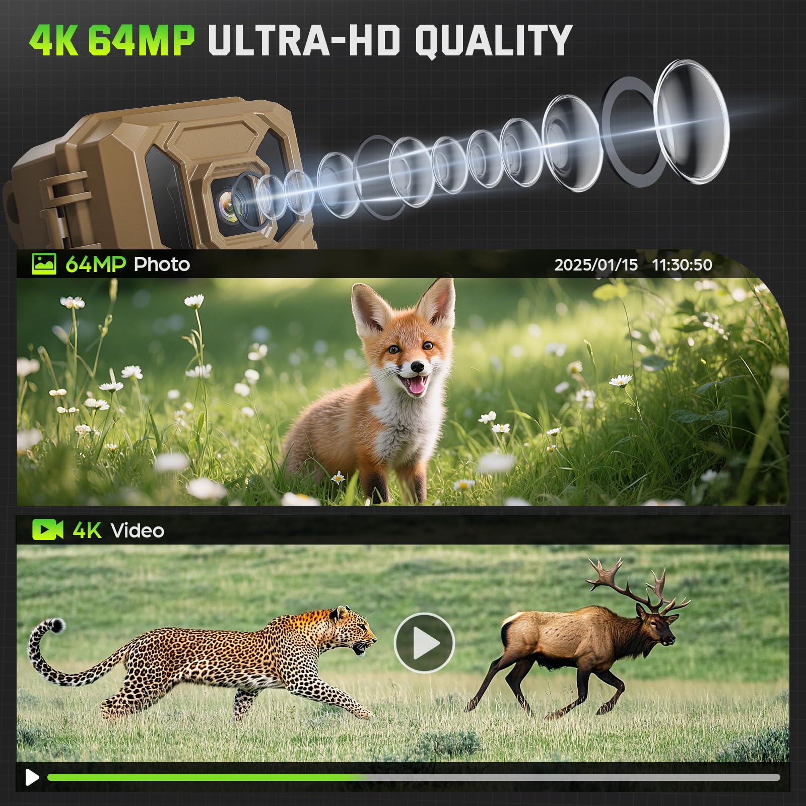 VIDVIS trail camera 64MP photos deliver high resolution wildlife evidence