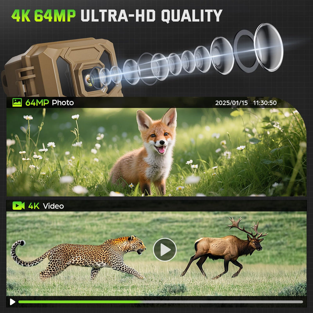 VIDVIS trail camera 64MP photos deliver high resolution wildlife evidence