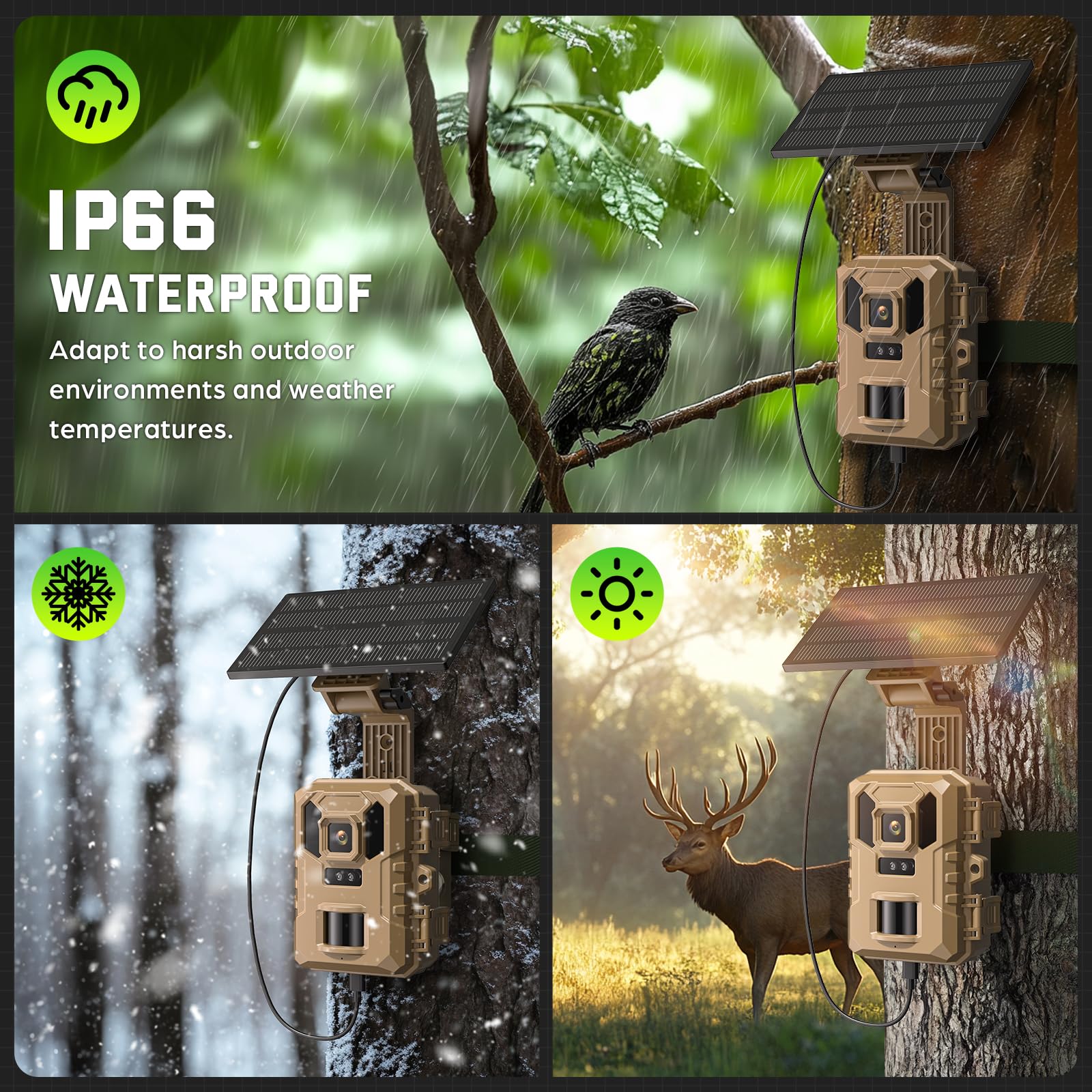 VIDVIS IP66 waterproof rating withstands rain and dust