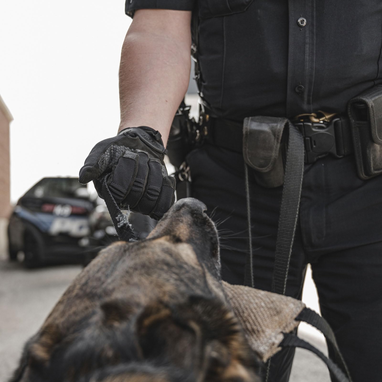 VIKTOS Patrolux K9 glove touchscreen fingertips keep devices usable in the field.