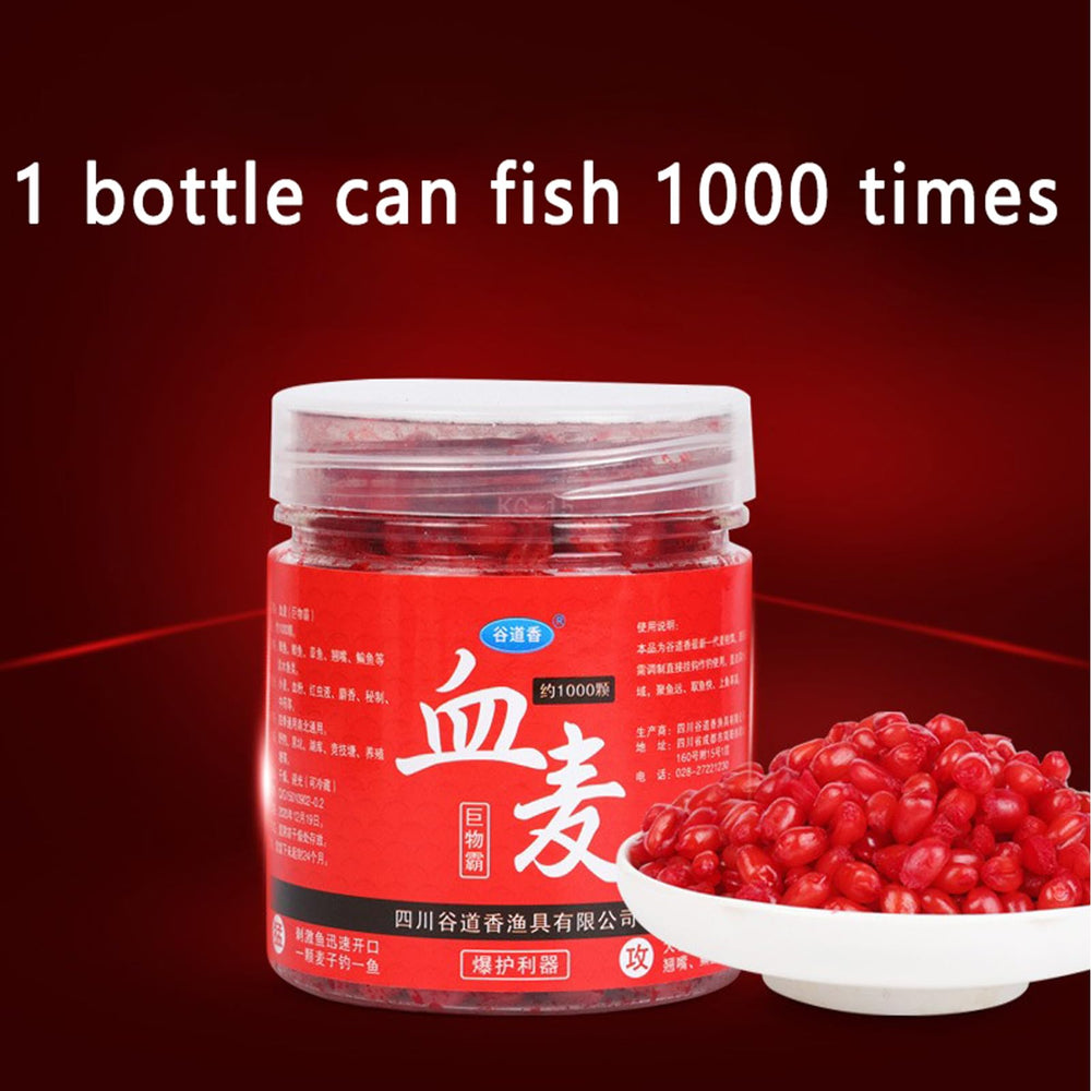Graphic illustrating ancient fermentation method used in the bait