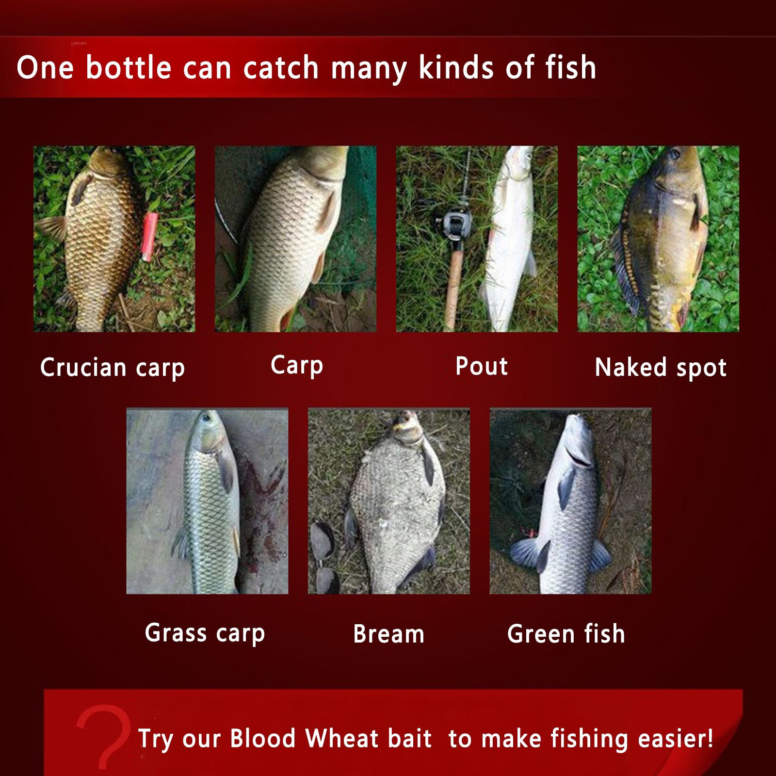 Long-lasting bait feature highlighted on the label
