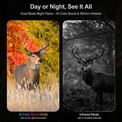 VisioGear Night Thunder X3 offers 8X zoom for distant targets and wildlife detail.