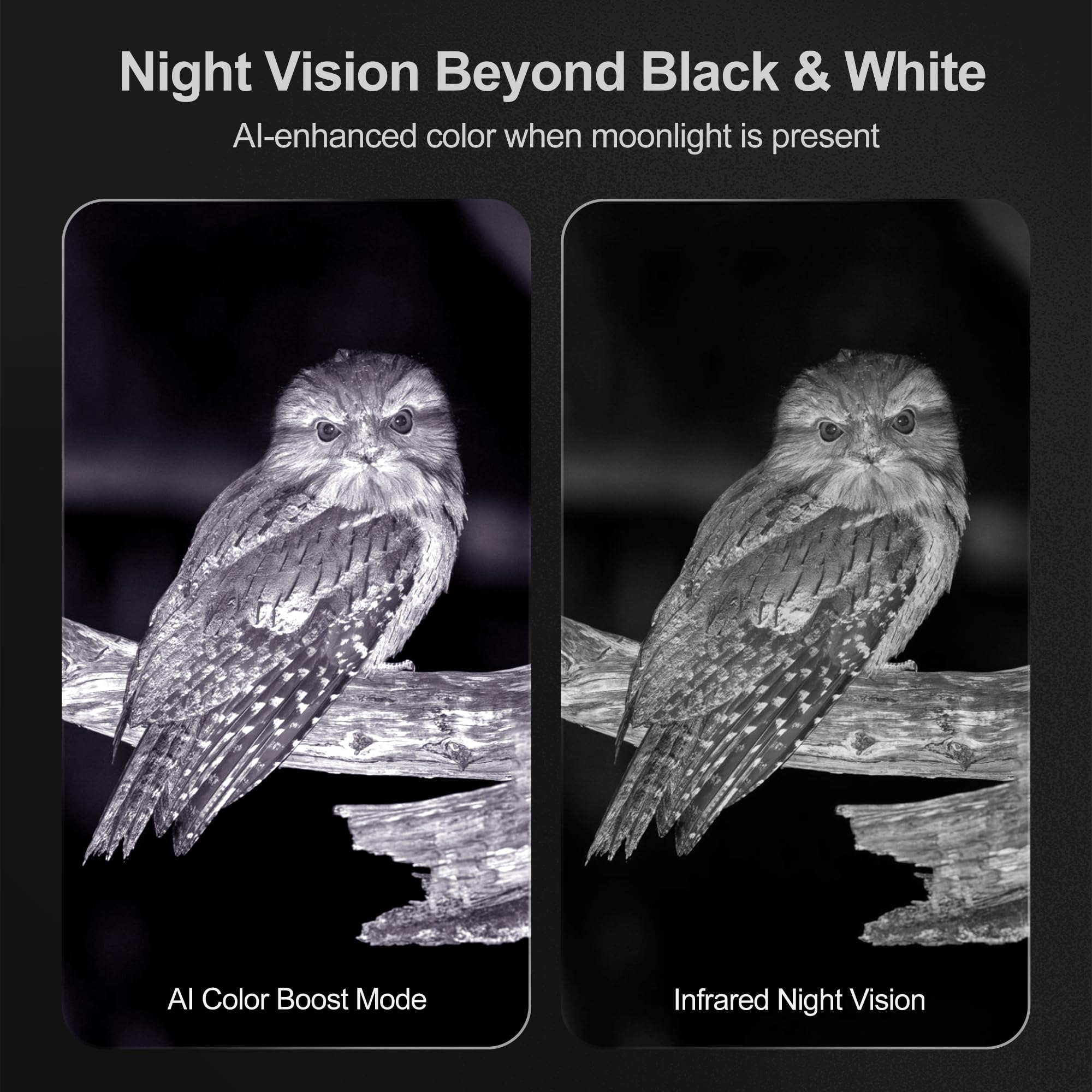 VisioGear NTX3 AI Color Boost clarifies scenes for easier recognition