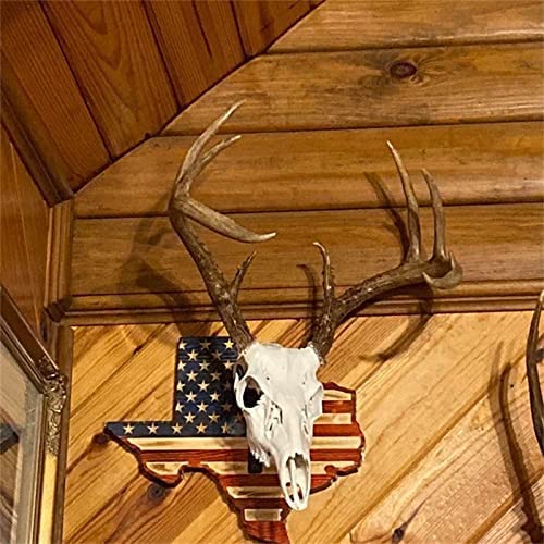 Vkuxing deluxe antler mounting kit for a polished skull and standout antler patina