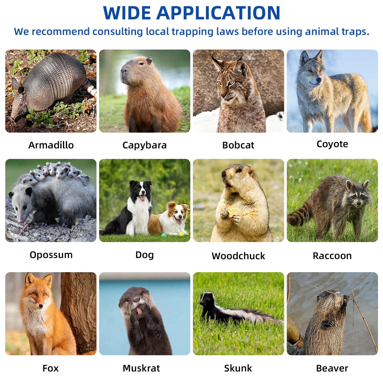 Vlaeng dual-door capture-release mechanism enables convenient animal release.