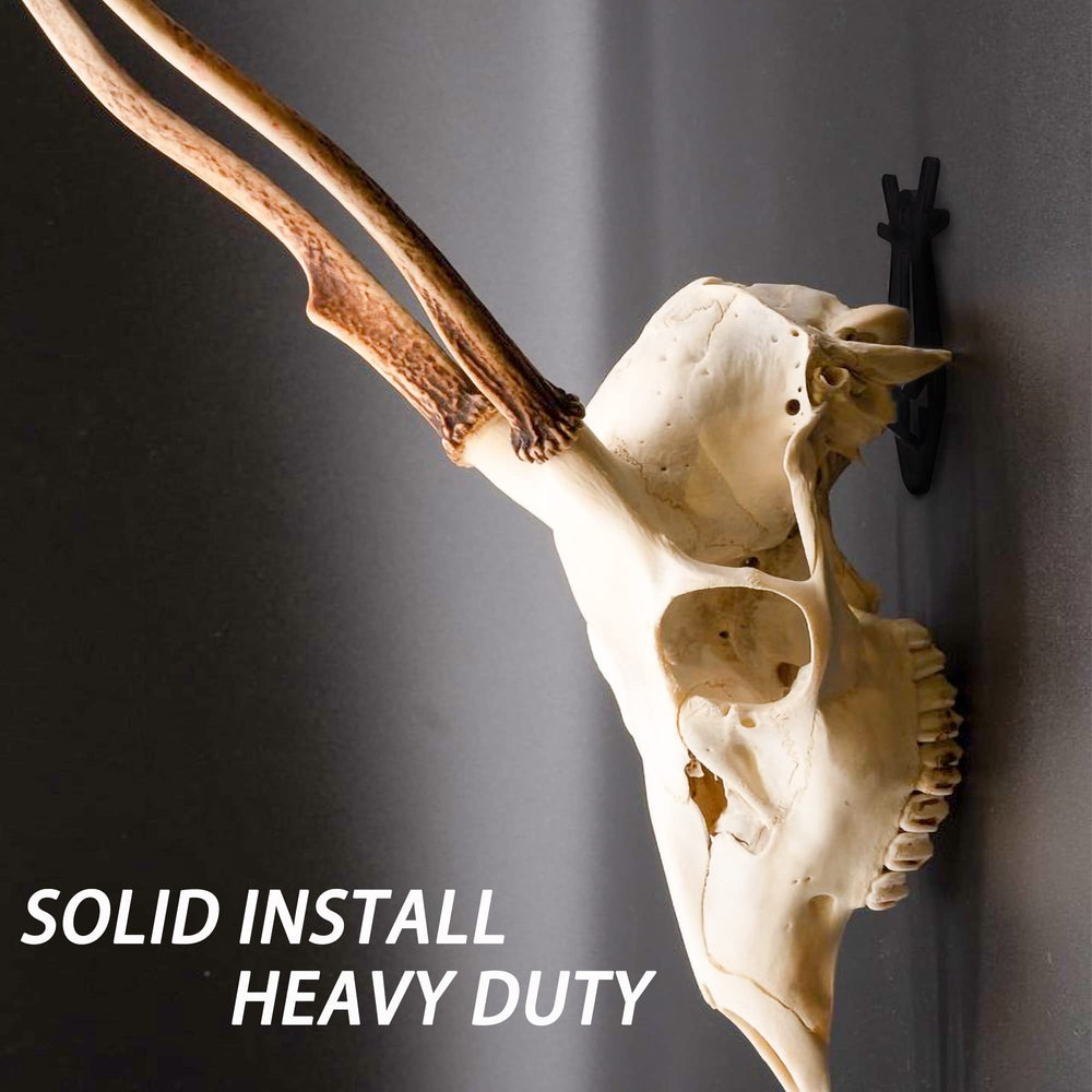 VMSIXVM indoor-outdoor skull mount for versatile display spaces