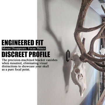 VMSIXVM professional-trophy-display-idea elevates hunting memories with a polished setup.