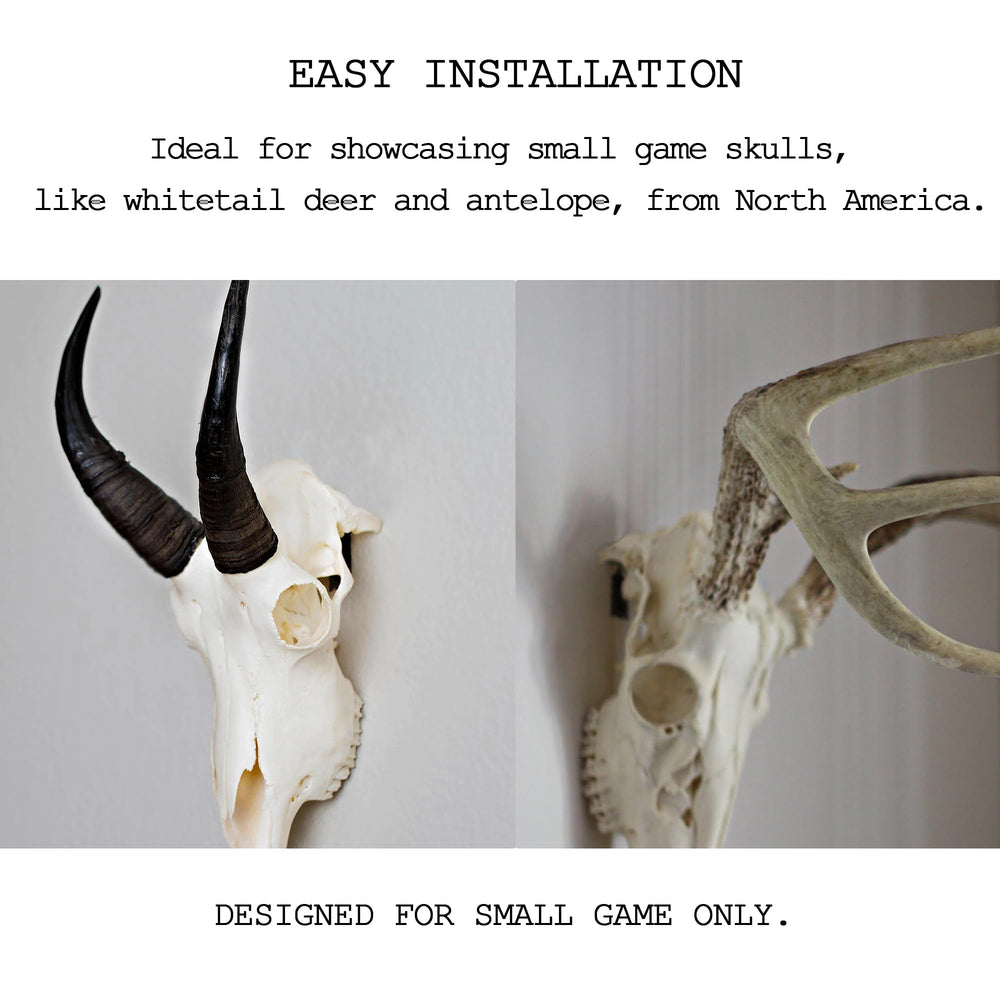 VMSIXVM discreet wall-hanger blends décor while highlighting trophy