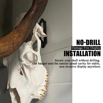 VMSIXVM wide-application-european-mount-tools supports multiple skull types.
