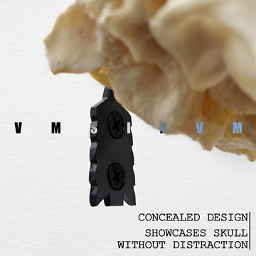 VMSIXVM versatile display tool for deer, goat, and small skulls