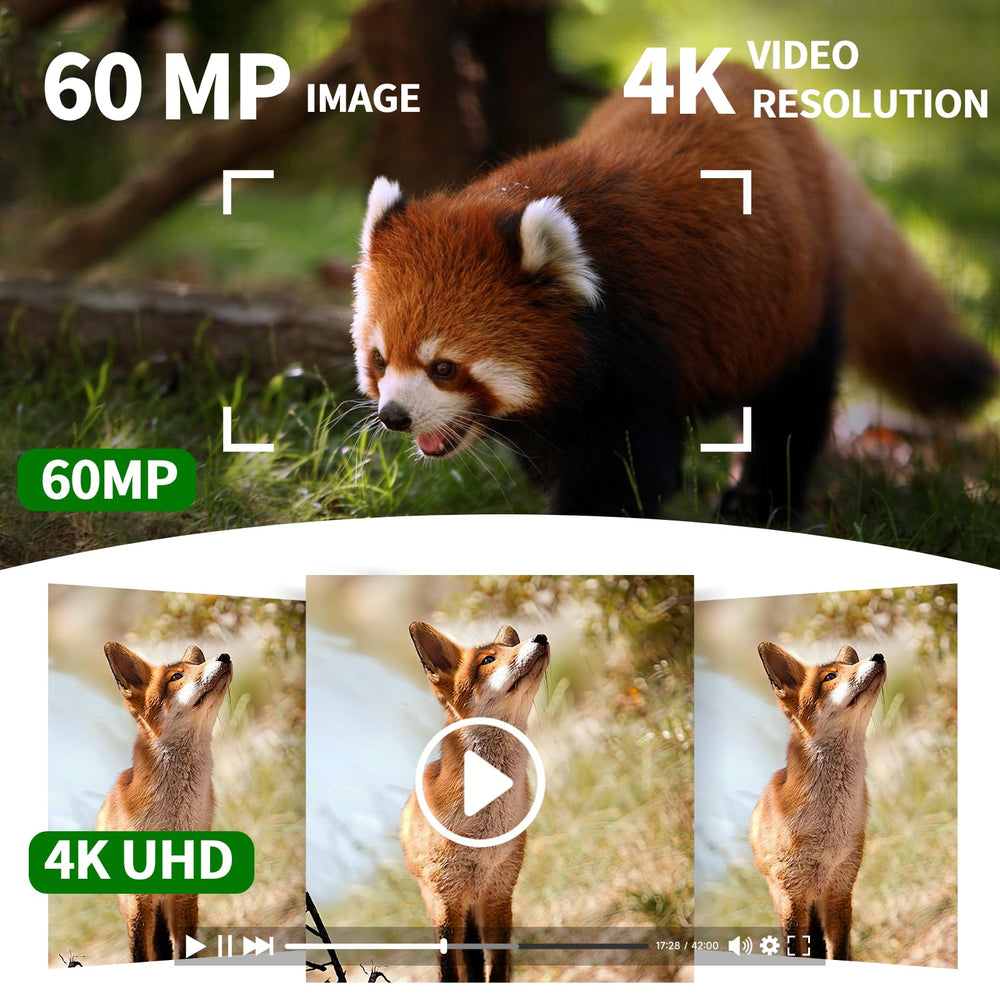 VOOPEAK trail camera captures 4K 60MP video for detailed wildlife moments.