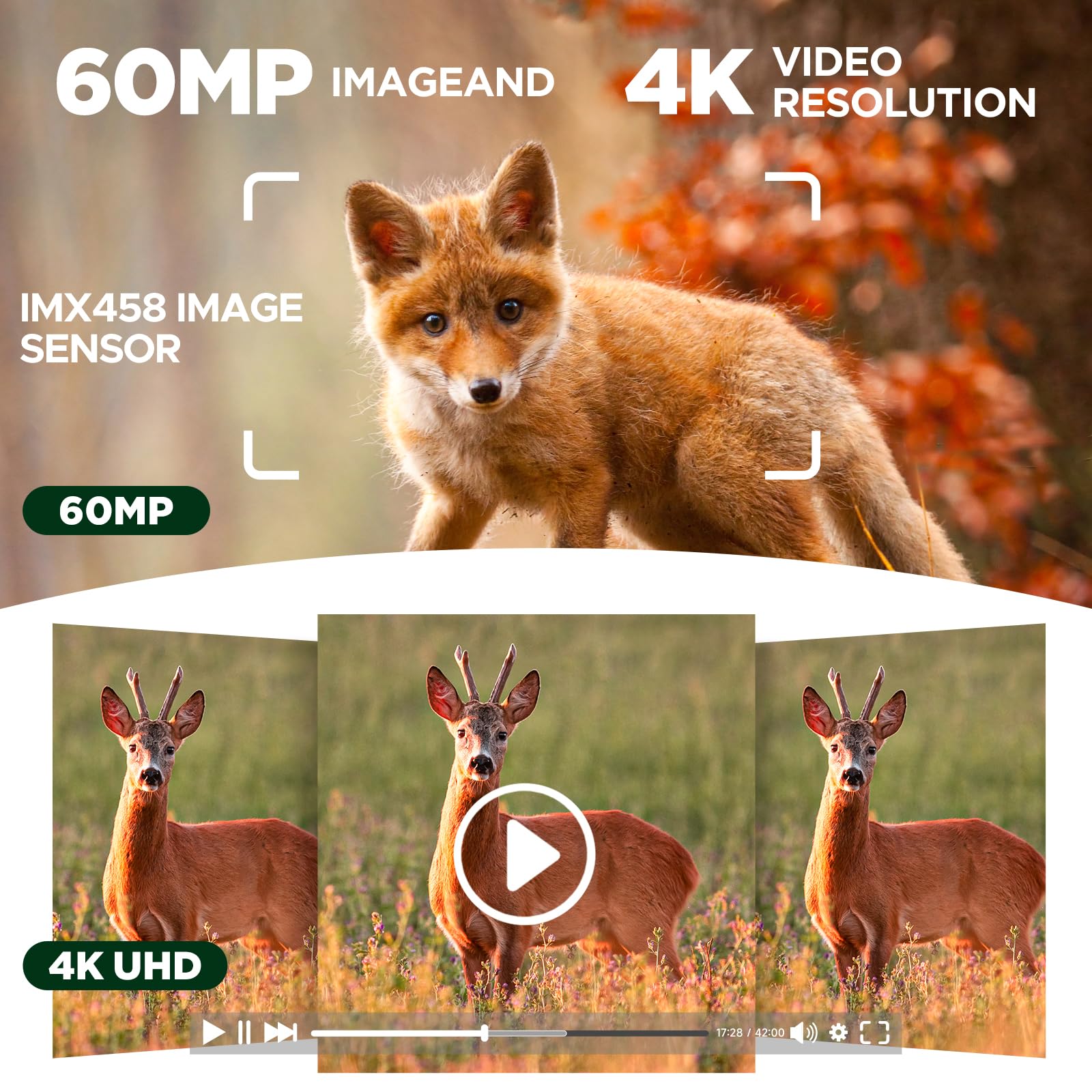 VOOPEAK trail camera 60MP and 4K video for detailed wildlife records.