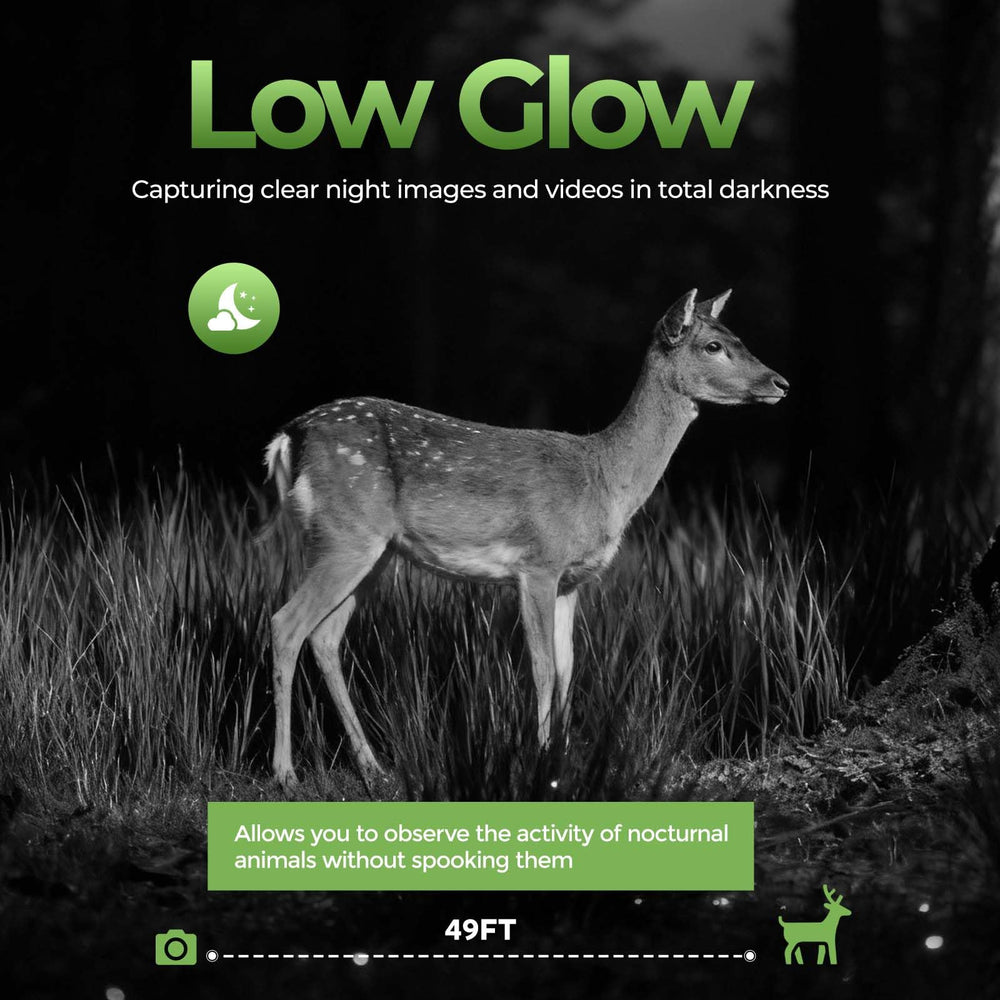 VOOPEAK low-glow IR provides discreet nighttime footage