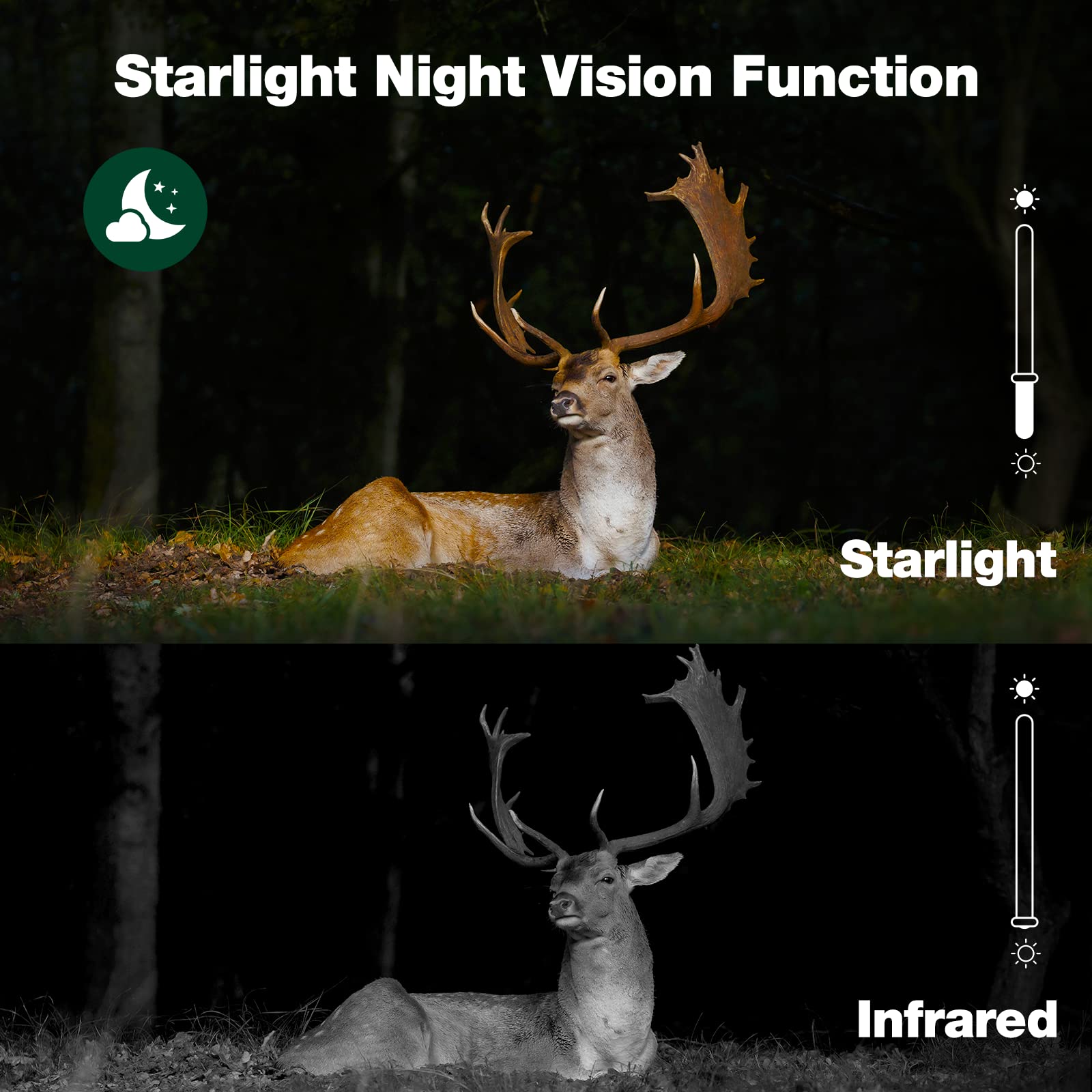 VOOPEAK trail camera with starlight night vision captures color footage in low light.