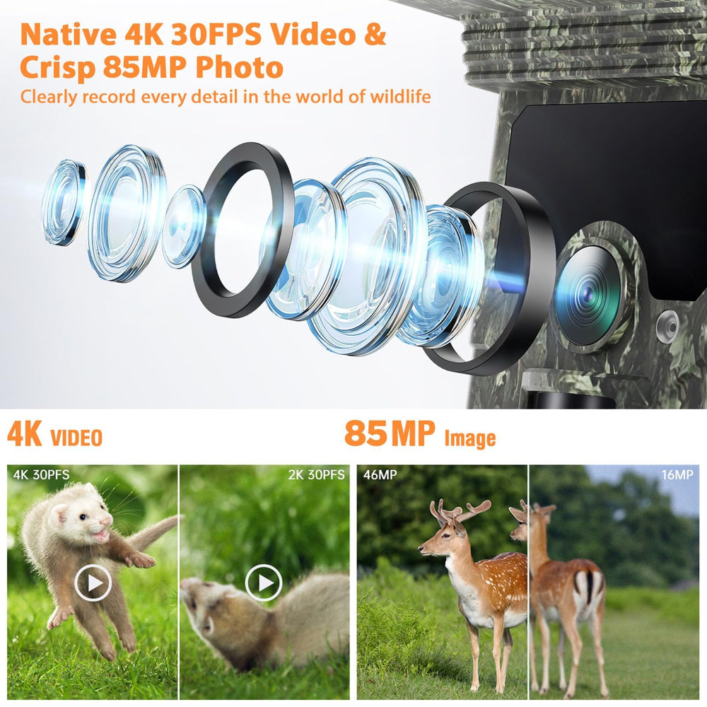 VOOPEAK WiFi Trail Camera 30fps video captures smooth wildlife footage