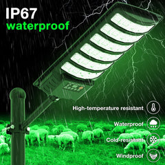 VowelsOne Hog Lights solar panel close-up powering night illumination