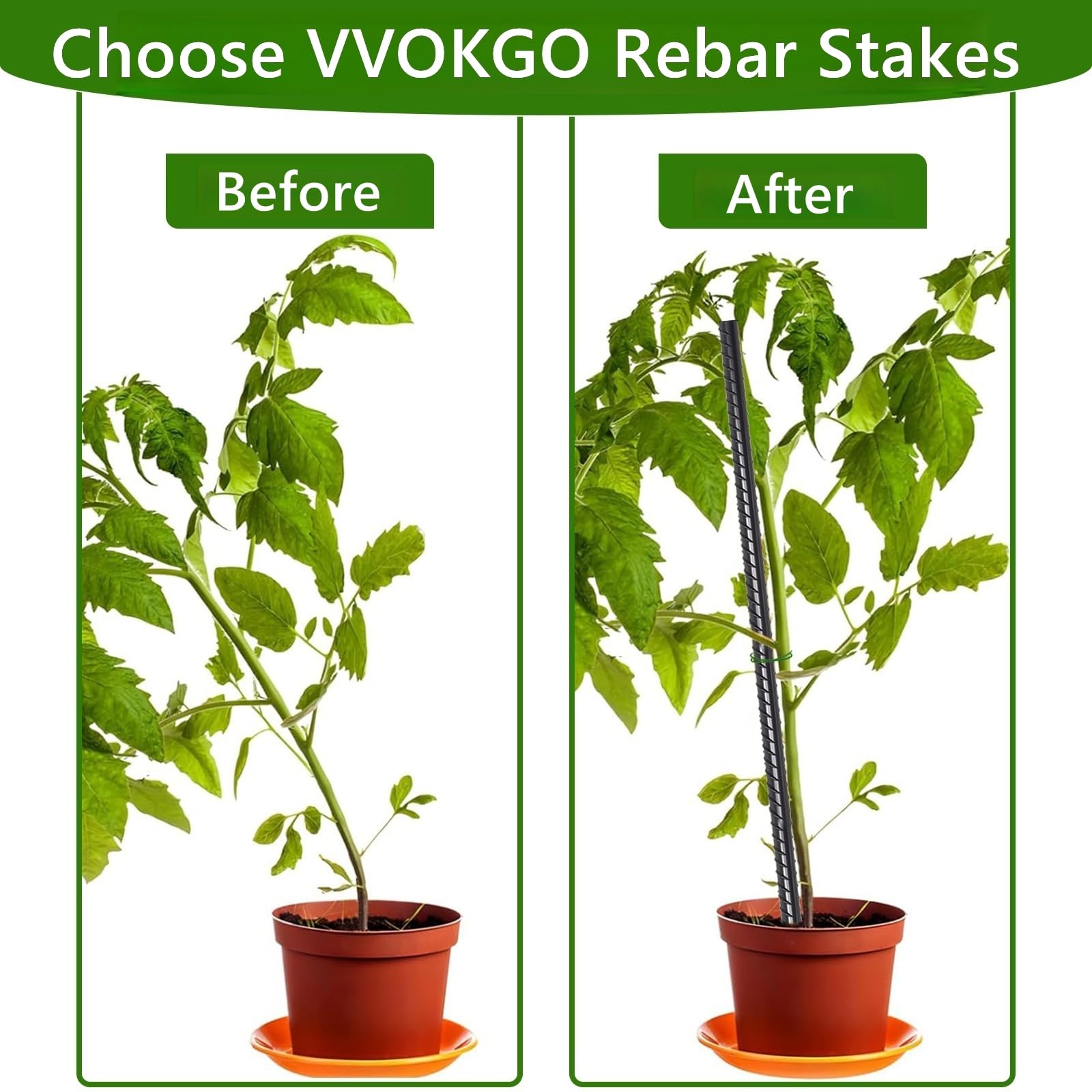 Outdoor setup with VVOKGO stakes securing tents and garden plants