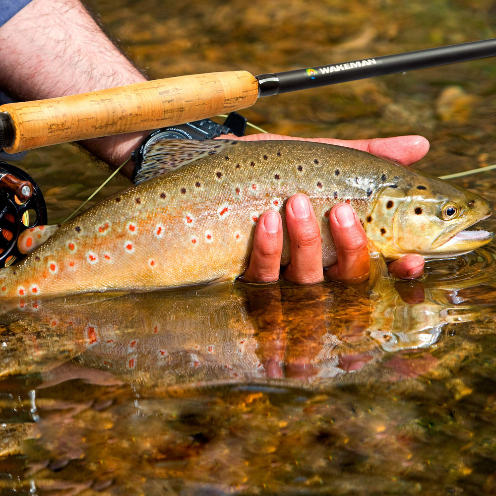 Wakeman reel with 9-foot leader and 45-foot fly line for quick setups.