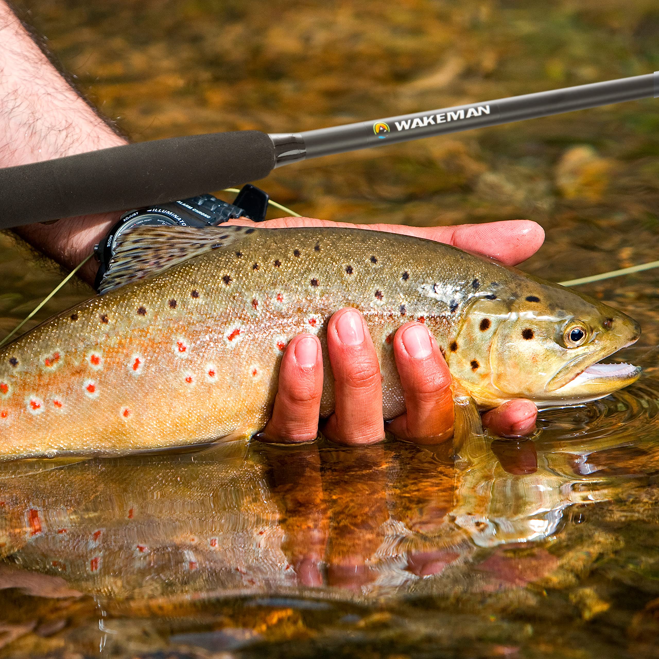 Wakeman fly line and tapered leader provide smooth casting.