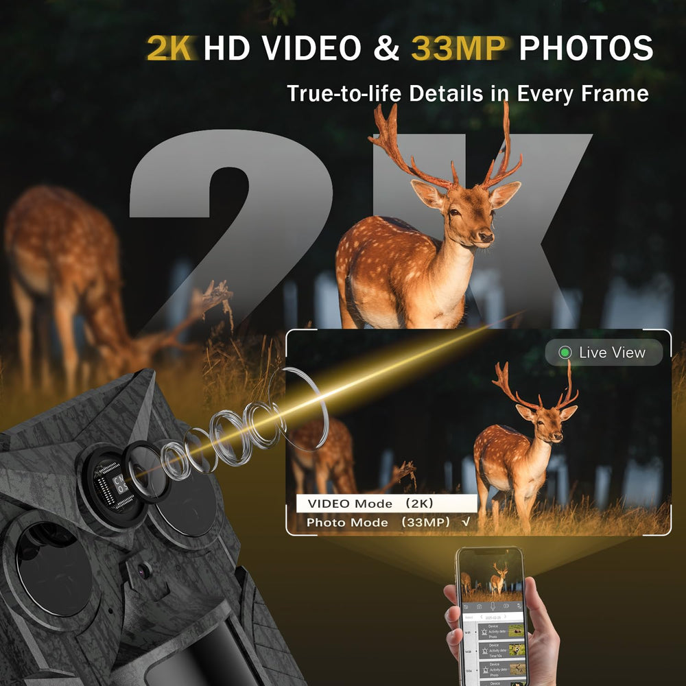 WalkZOO No-Glow night vision image illustrating discreet wildlife surveillance