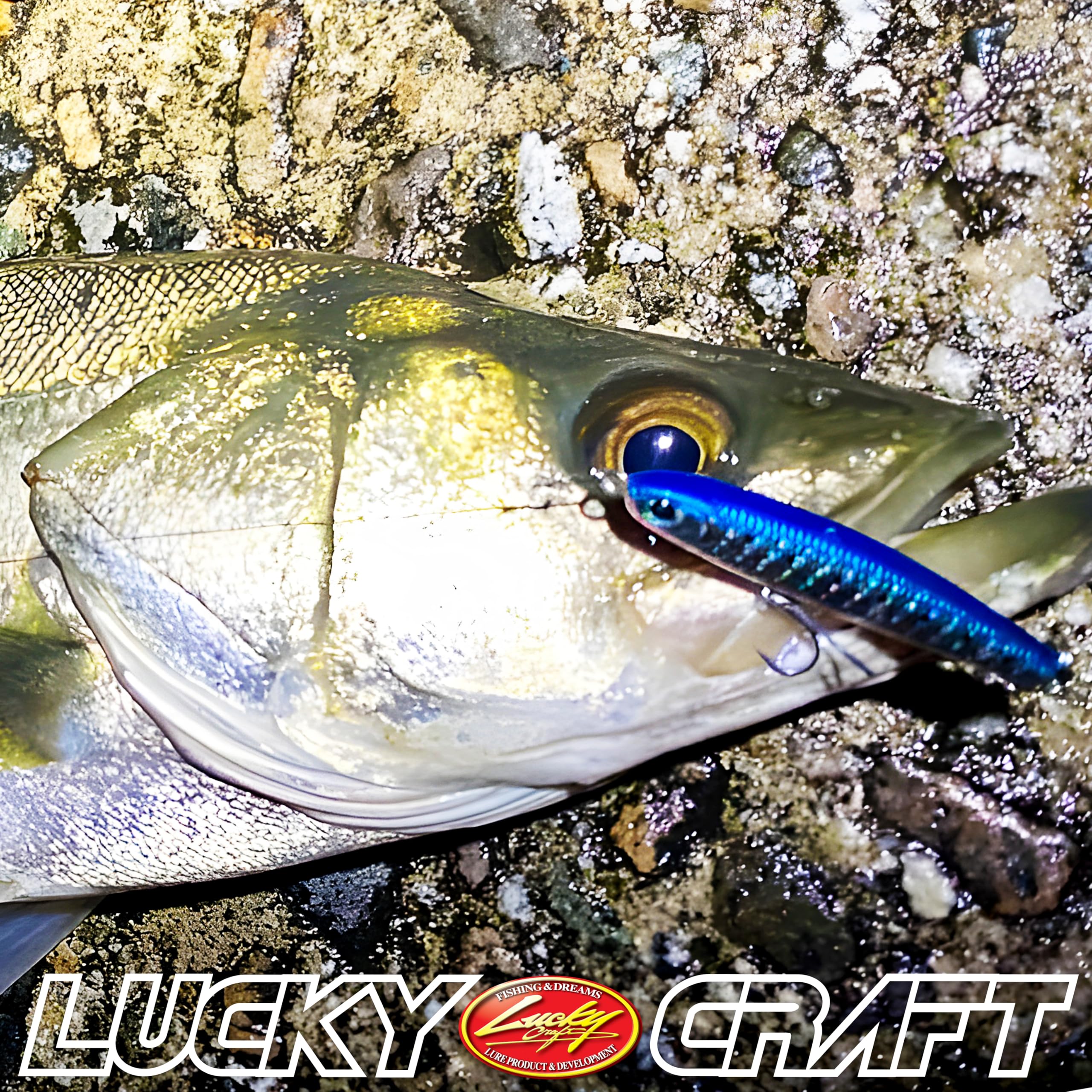 Wander 85TB 714 Metallic Sardine lure ready for saltwater fishing