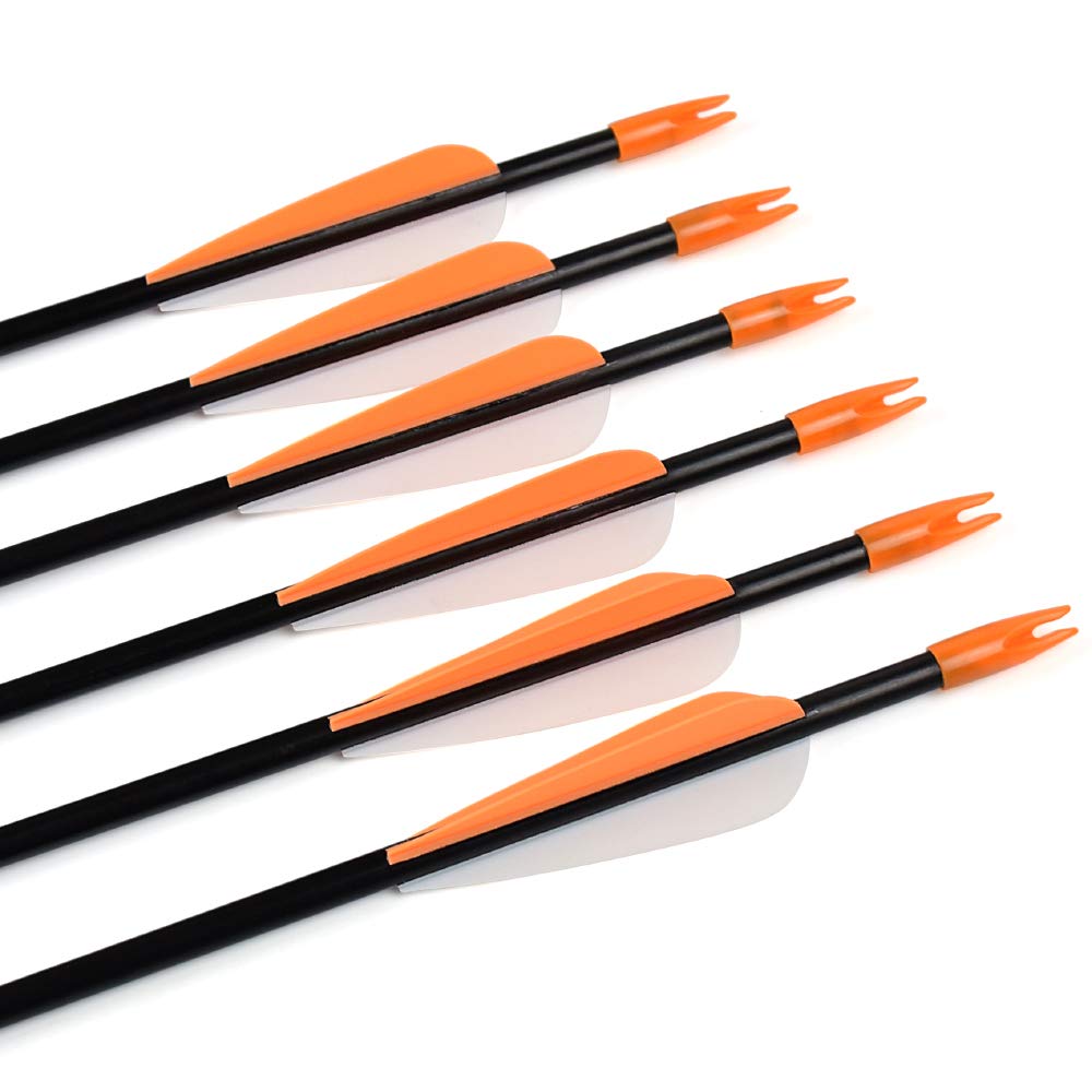 WangQin Archery safety-focused 12-pack practice arrows for youth and beginners