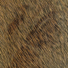 Wapsi Deer Body Hair shows color variation from the sides and back, great for dry fly down-wings.