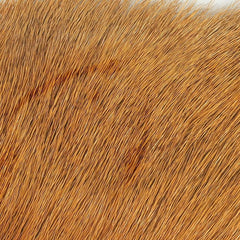 Wapsi Elk Body Hair Golden Brown packaging shows color and weight options for fly tyers