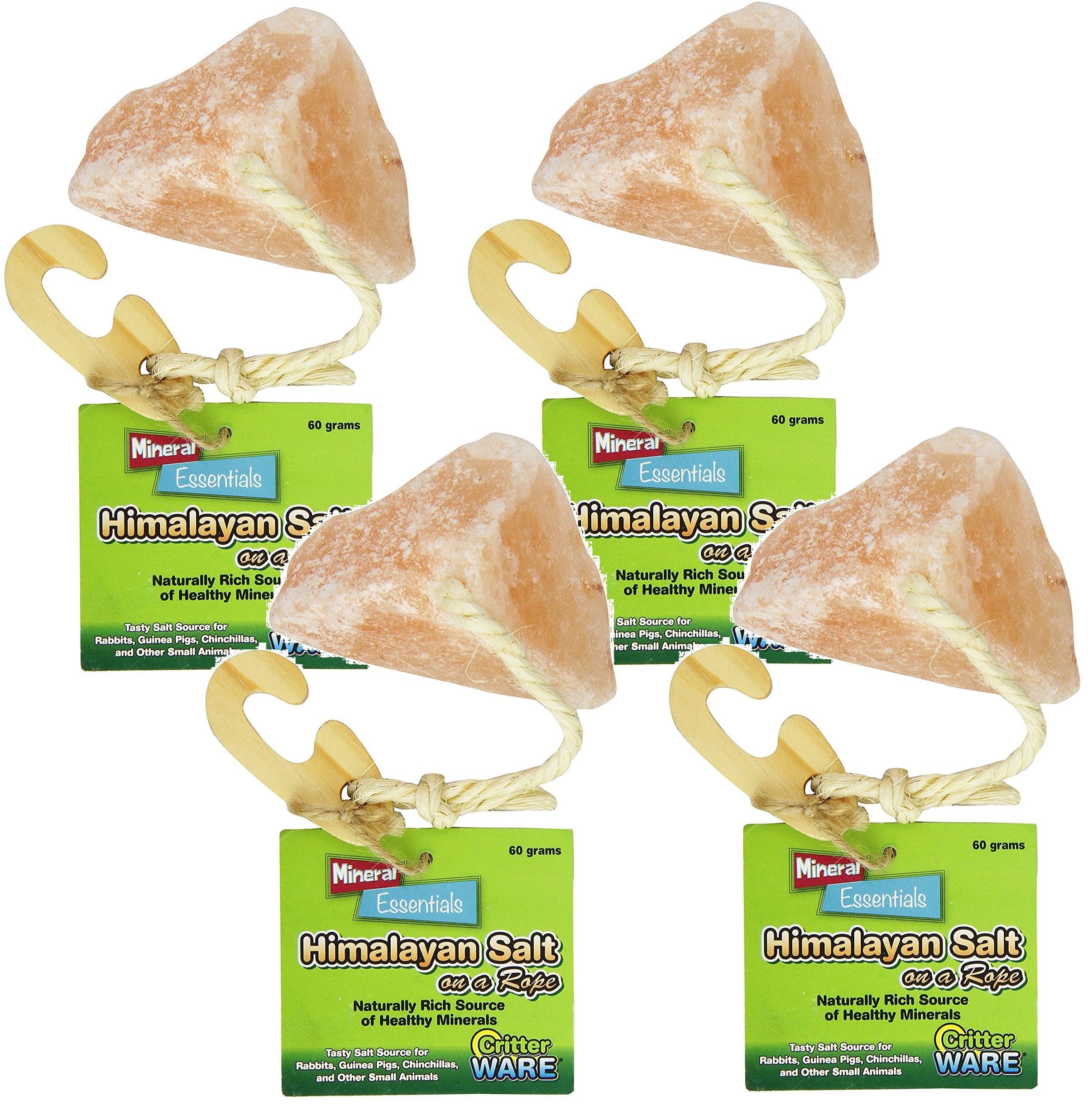 Ware Manufacturing Himalayan Salt on a Rope for small pets, a textured chew toy for interactive play.