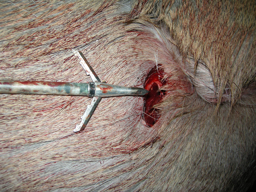 Wasp Jak-Knife field-point accuracy while broadhead is deployed