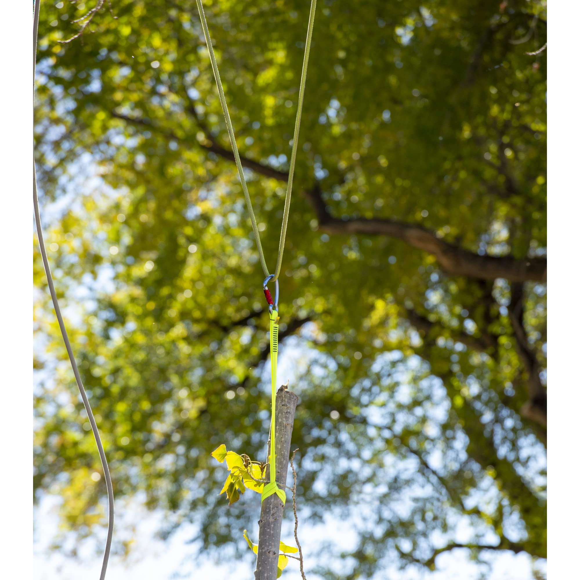 Weaver Arborist Speedline Kit drop-area setup during a climb