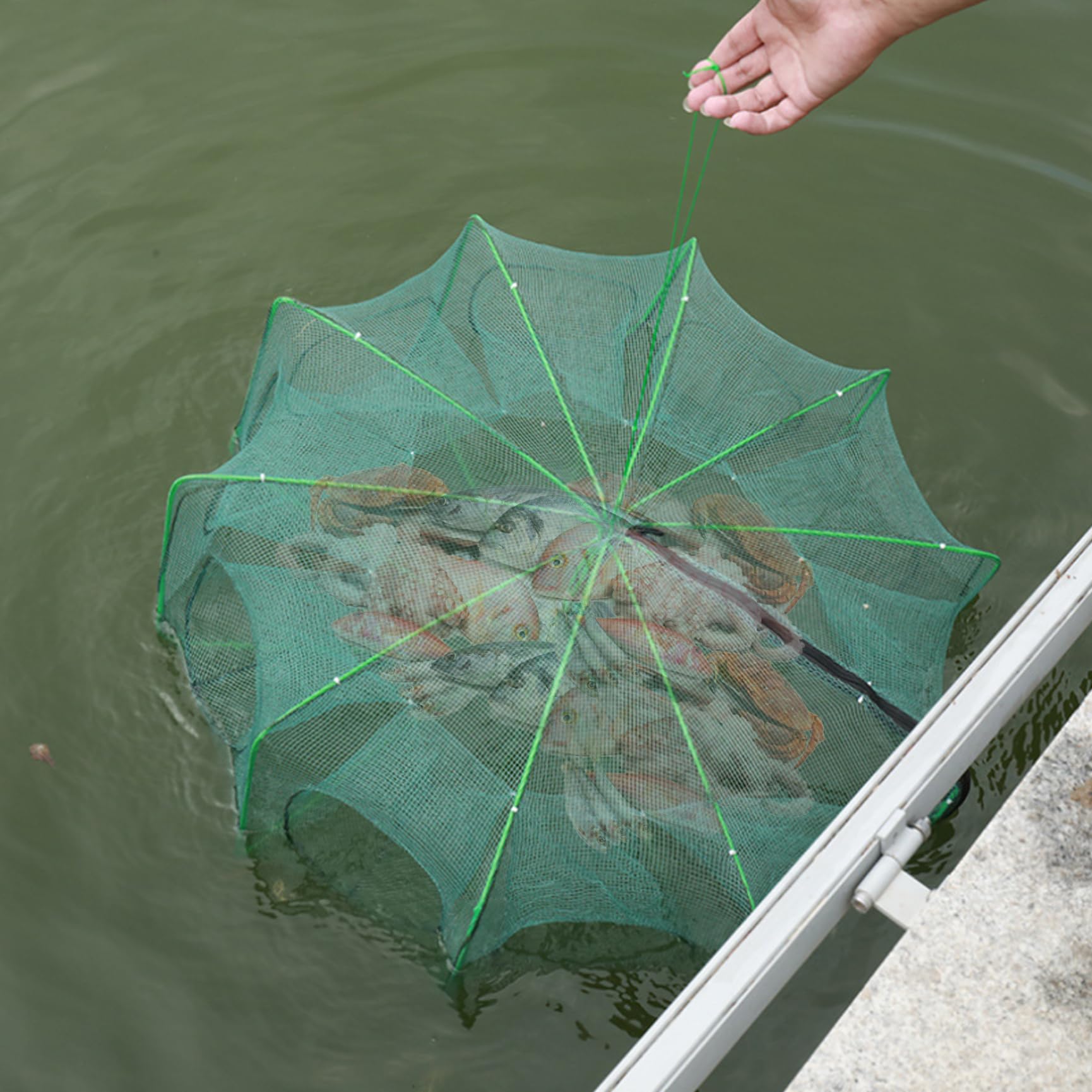 Wedhapy fishing net umbrella suitable for still water ponds and lakes