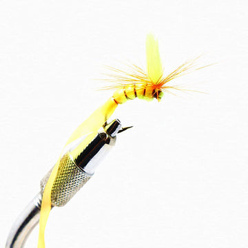 WellieSTR sunken-skin elastic detail ideal for caddis larva patterns.