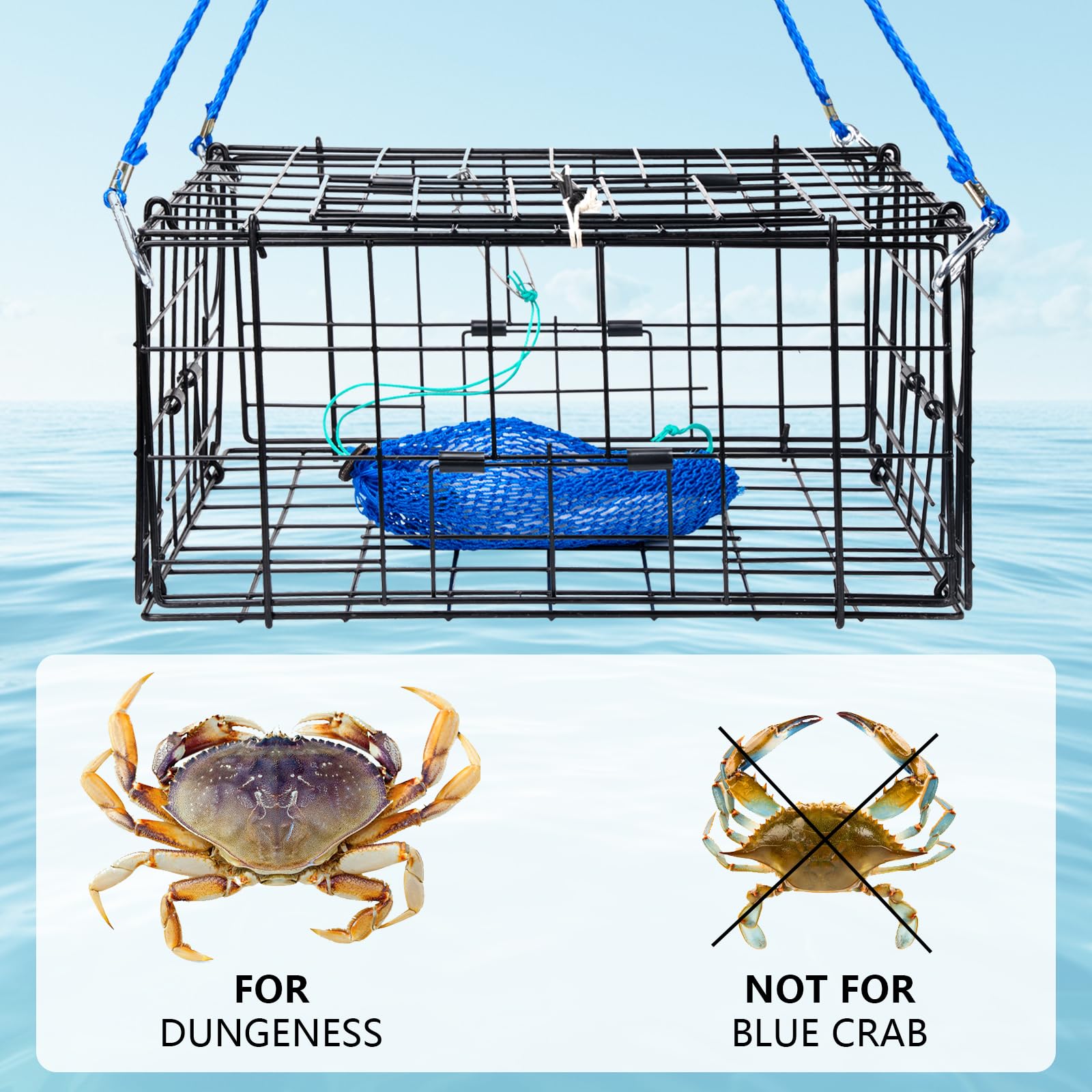 West Coast Dungeness crab compatibility note; not for blue crabs