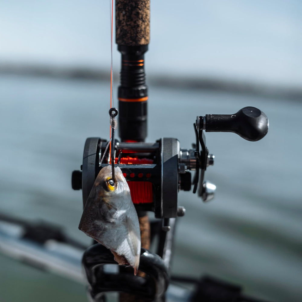 Whisker Seeker 60 Series Pro CNC-milled frame ready for heavy battles