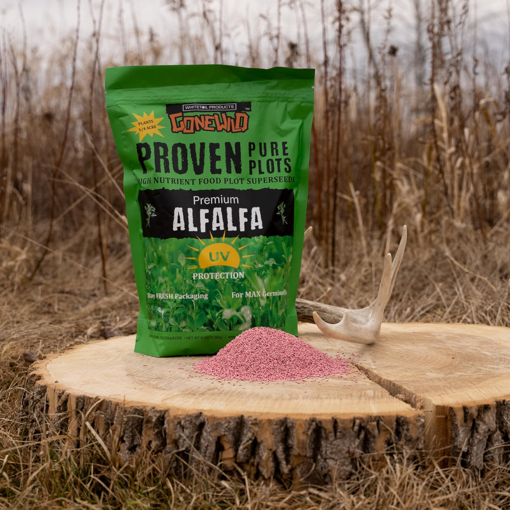 Whitetail Gone Wild alfalfa growing in well-drained soil for strong establishment