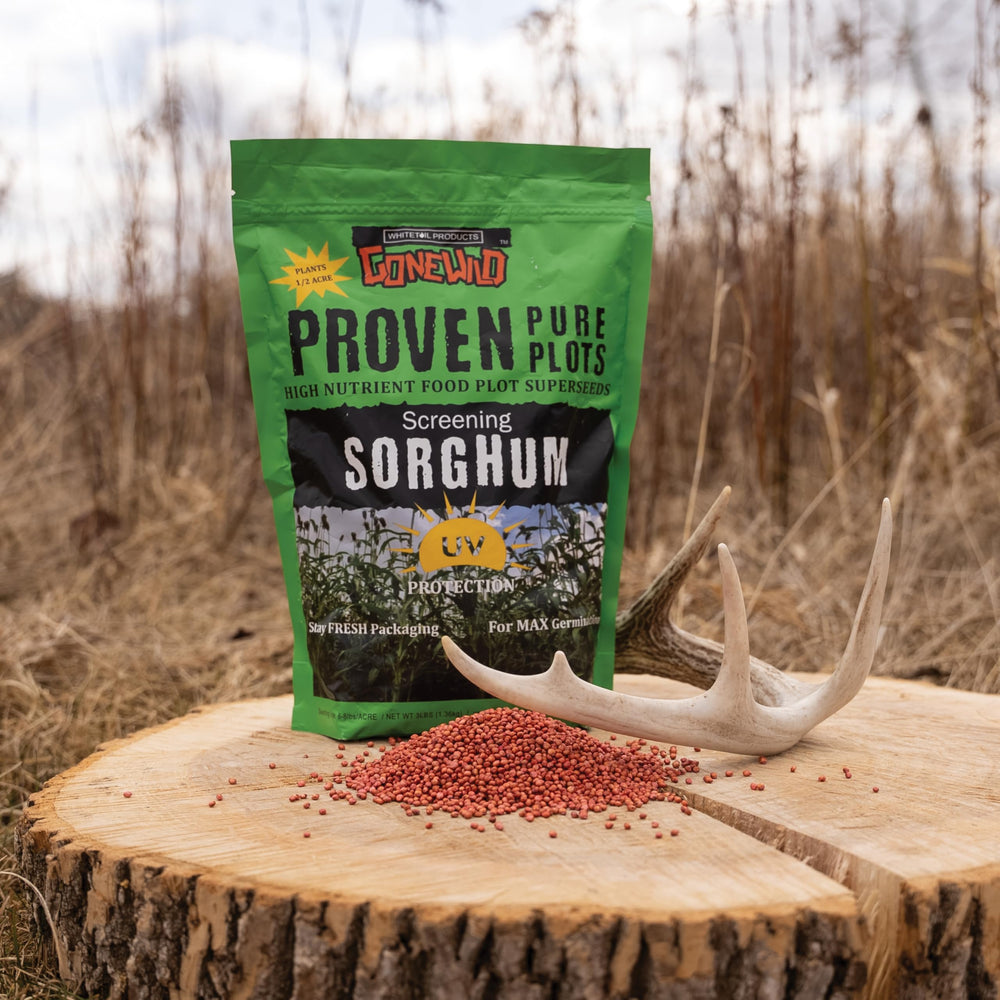 Whitetail Products Gone Wild drought-tolerant sorghum seed shown on soil for establishment.