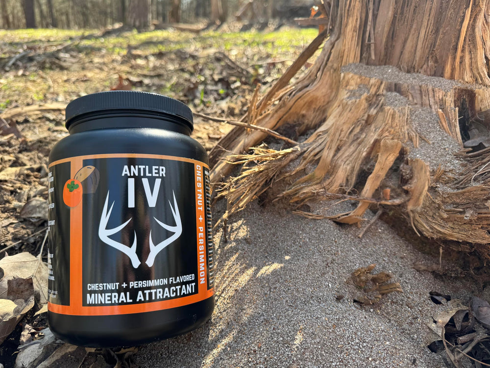 Whitetail Hill Antler IV feeding-site setup supports consistent mineral intake.