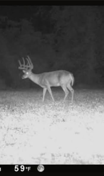 Whitetail Hill seed spread demonstrates easy broadcast setup