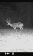 Whitetail Hill seed spread demonstrates easy broadcast setup