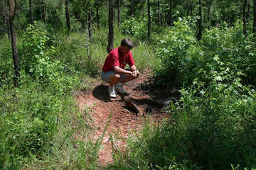 Whitetail Institute 30-06 scent attractant enhances deer response.