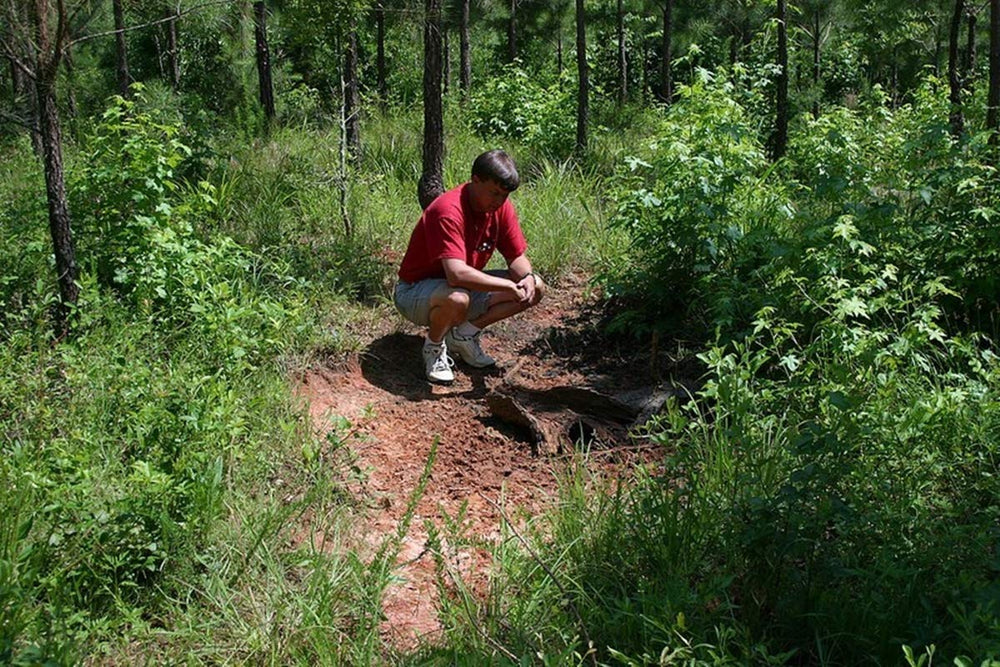 Whitetail Institute 30-06 scent attractant enhances deer response.