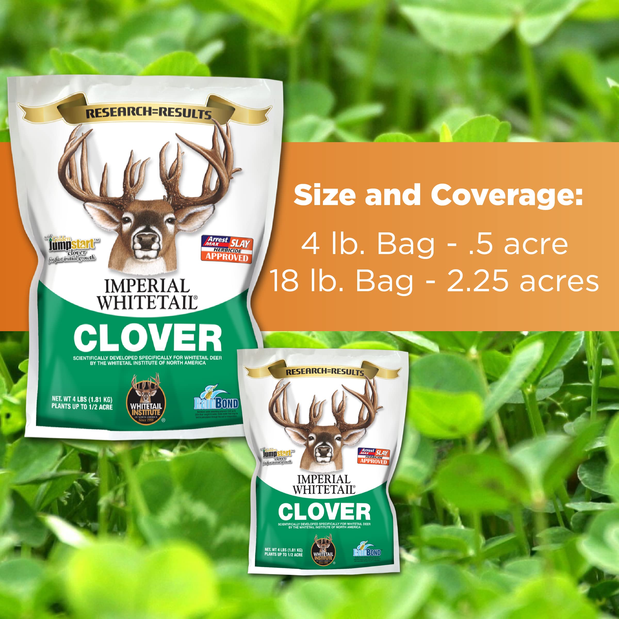 Cold, heat, and drought tolerant forage to support deer habitat