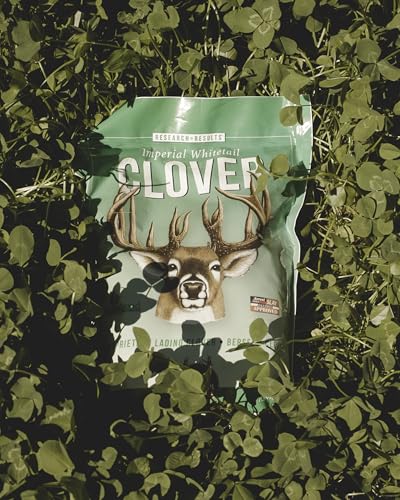 Deer gathering at a newly seeded Imperial Clover plot at sunset