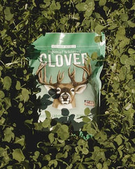 Deer gathering at a newly seeded Imperial Clover plot at sunset